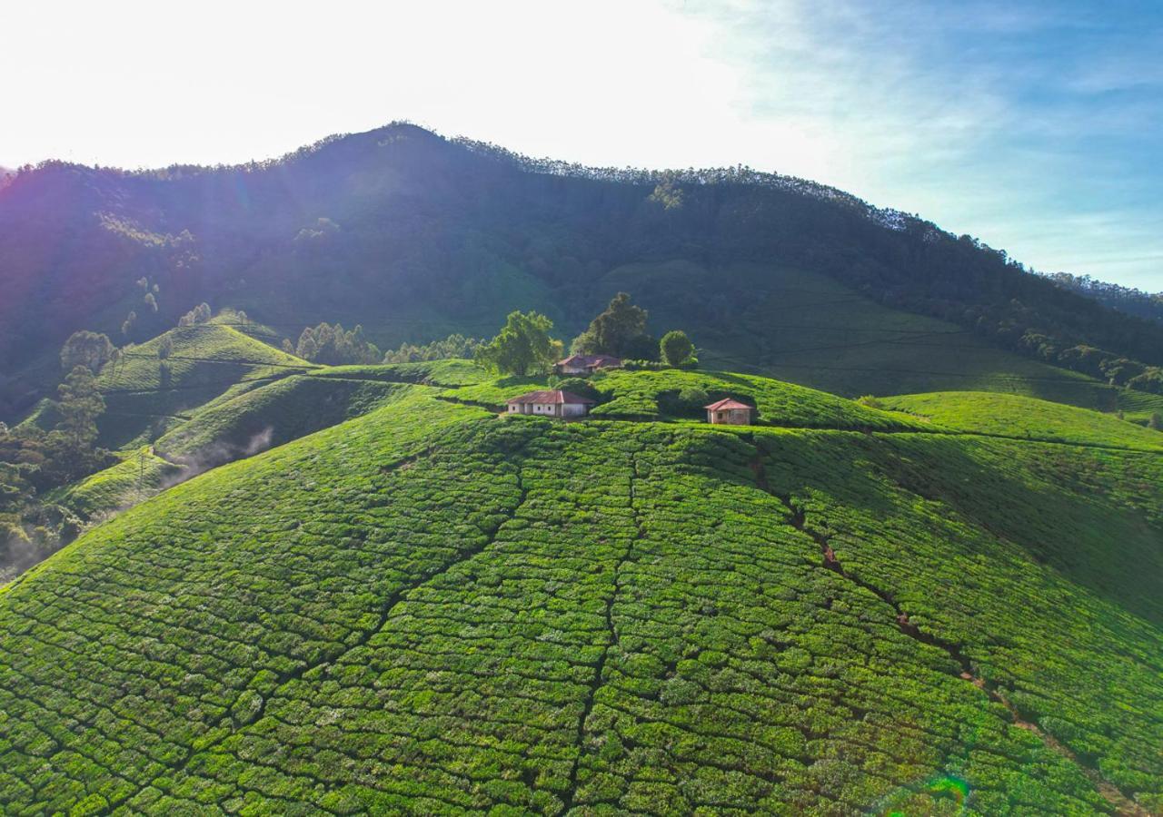 Arivikad Tea Bungalow Munnar By Voye Homes Suryanelli Eksteriør bilde