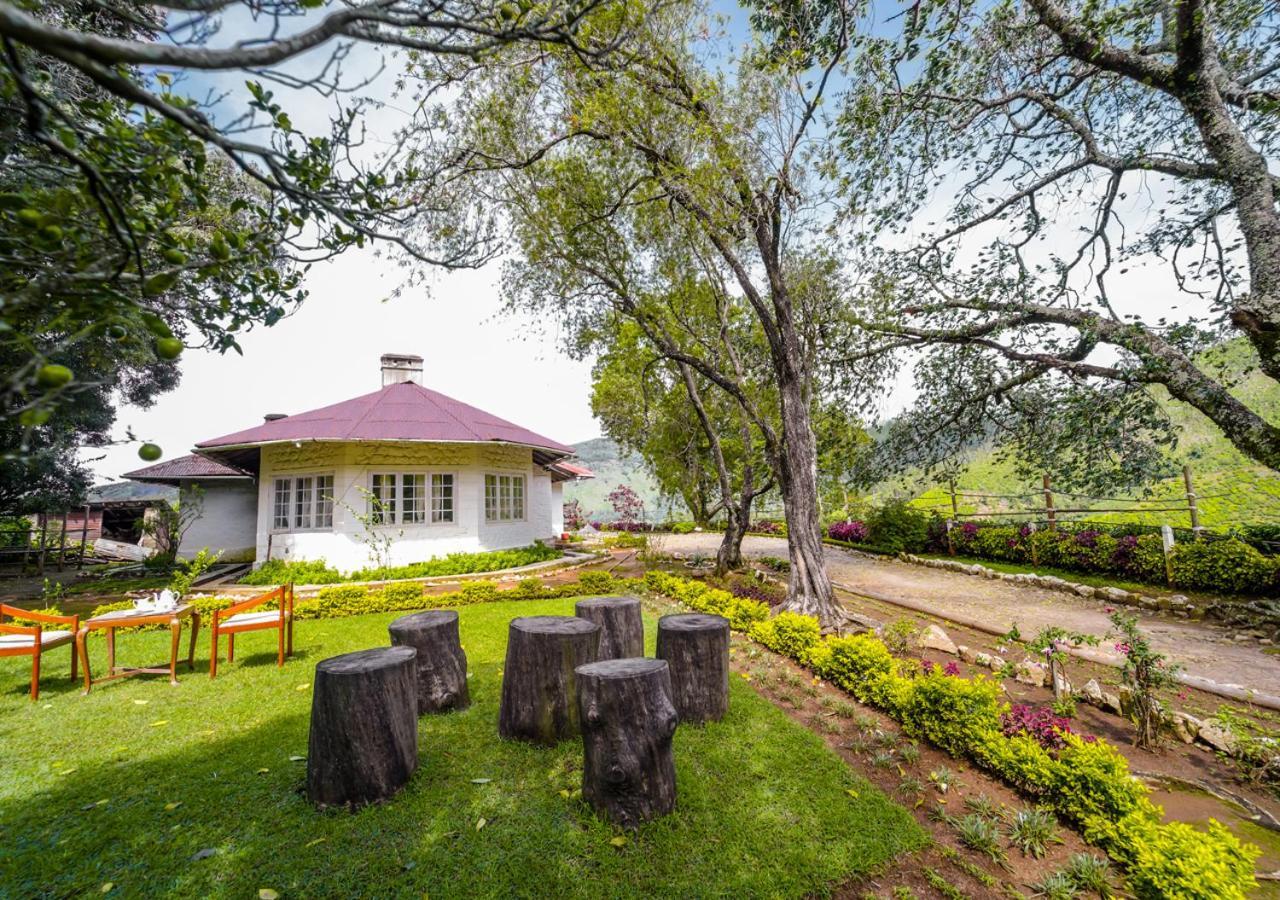 Arivikad Tea Bungalow Munnar By Voye Homes Suryanelli Eksteriør bilde