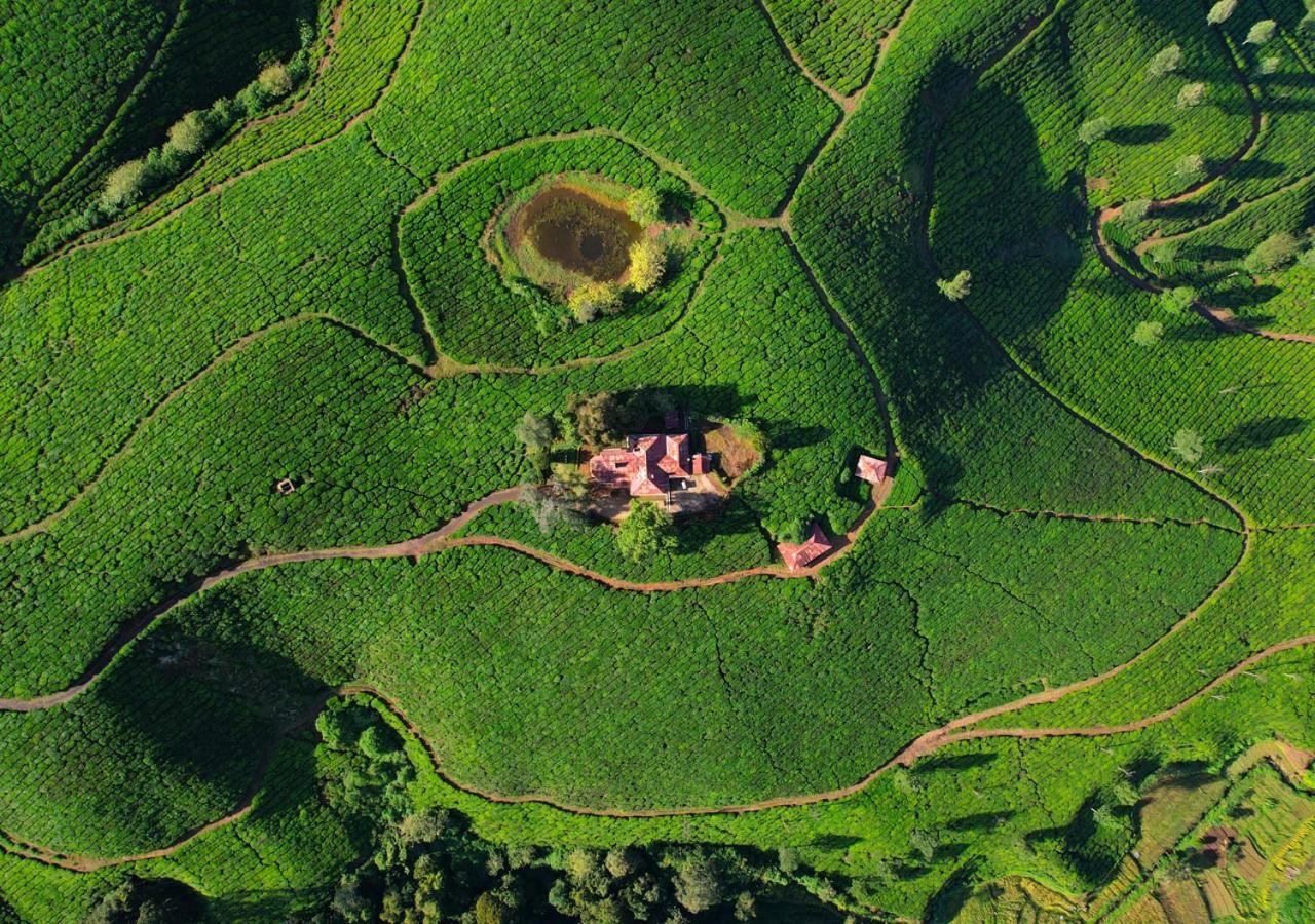 Arivikad Tea Bungalow Munnar By Voye Homes Suryanelli Eksteriør bilde