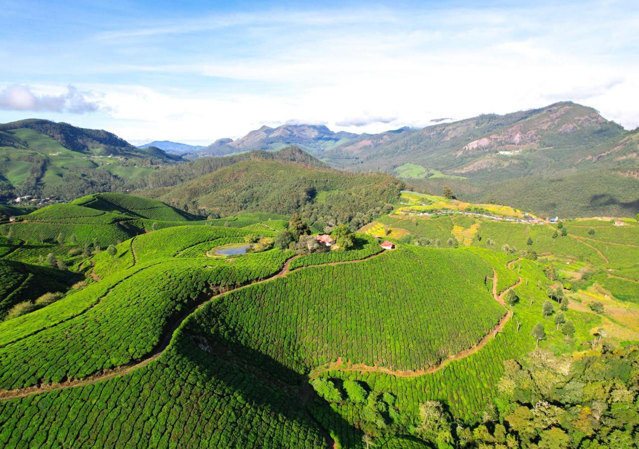 Arivikad Tea Bungalow Munnar By Voye Homes Suryanelli Eksteriør bilde
