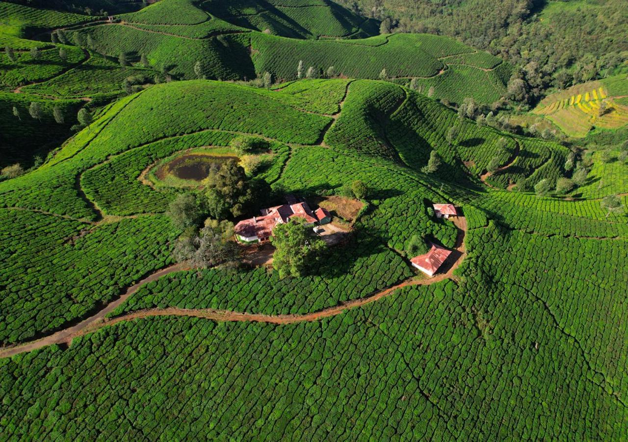 Arivikad Tea Bungalow Munnar By Voye Homes Suryanelli Eksteriør bilde