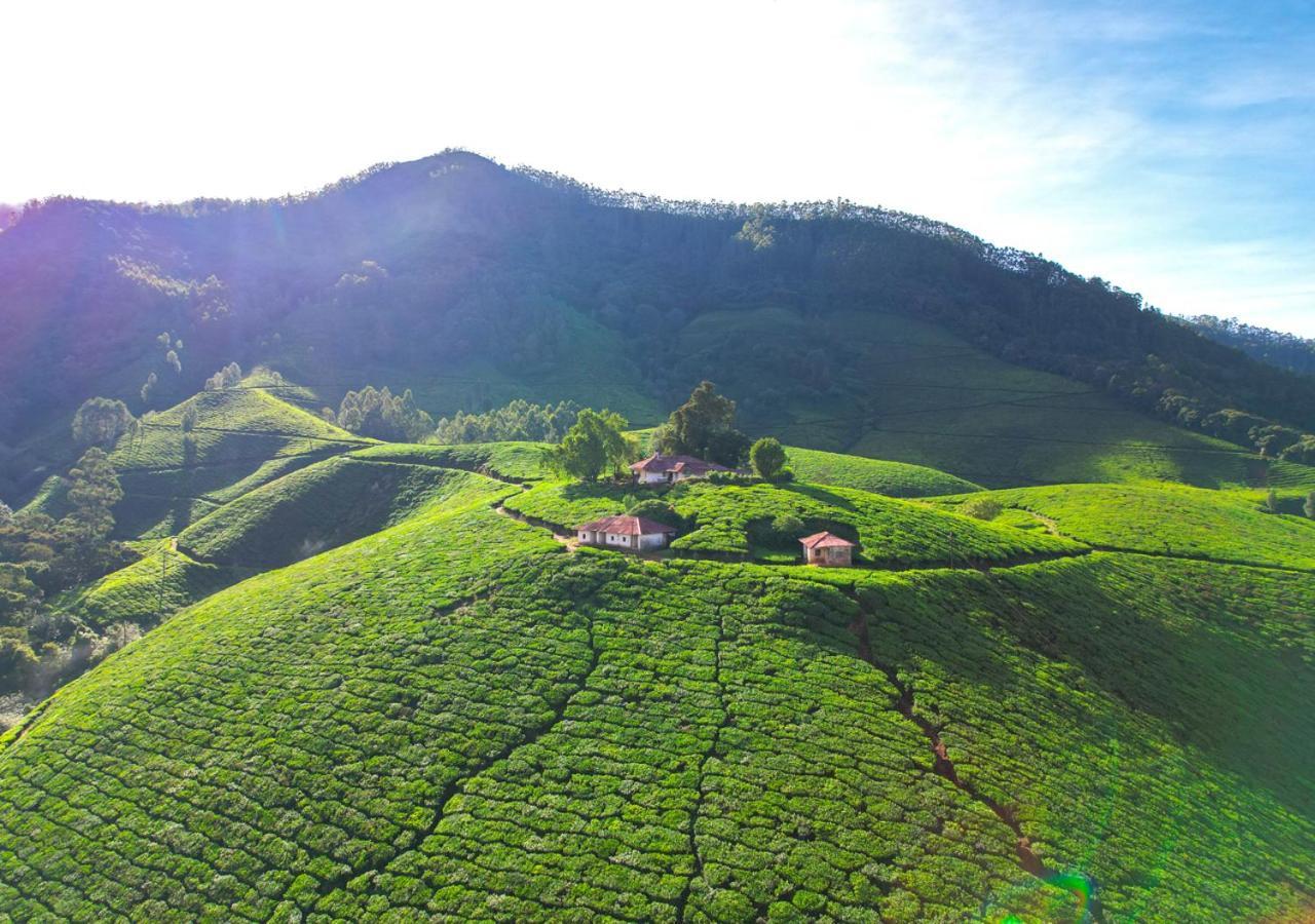 Arivikad Tea Bungalow Munnar By Voye Homes Suryanelli Eksteriør bilde