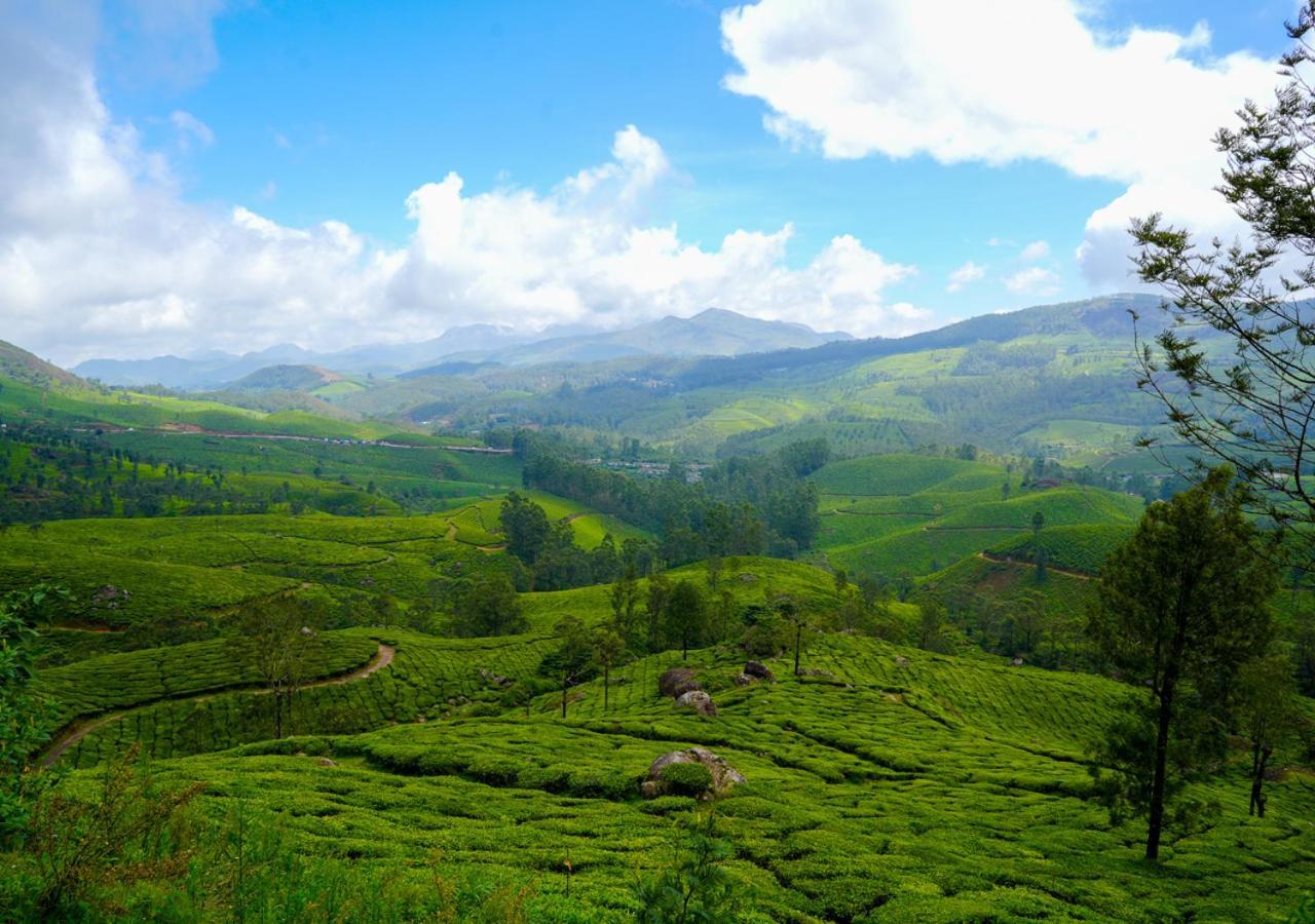 Arivikad Tea Bungalow Munnar By Voye Homes Suryanelli Eksteriør bilde