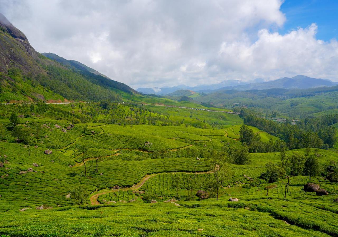 Arivikad Tea Bungalow Munnar By Voye Homes Suryanelli Eksteriør bilde