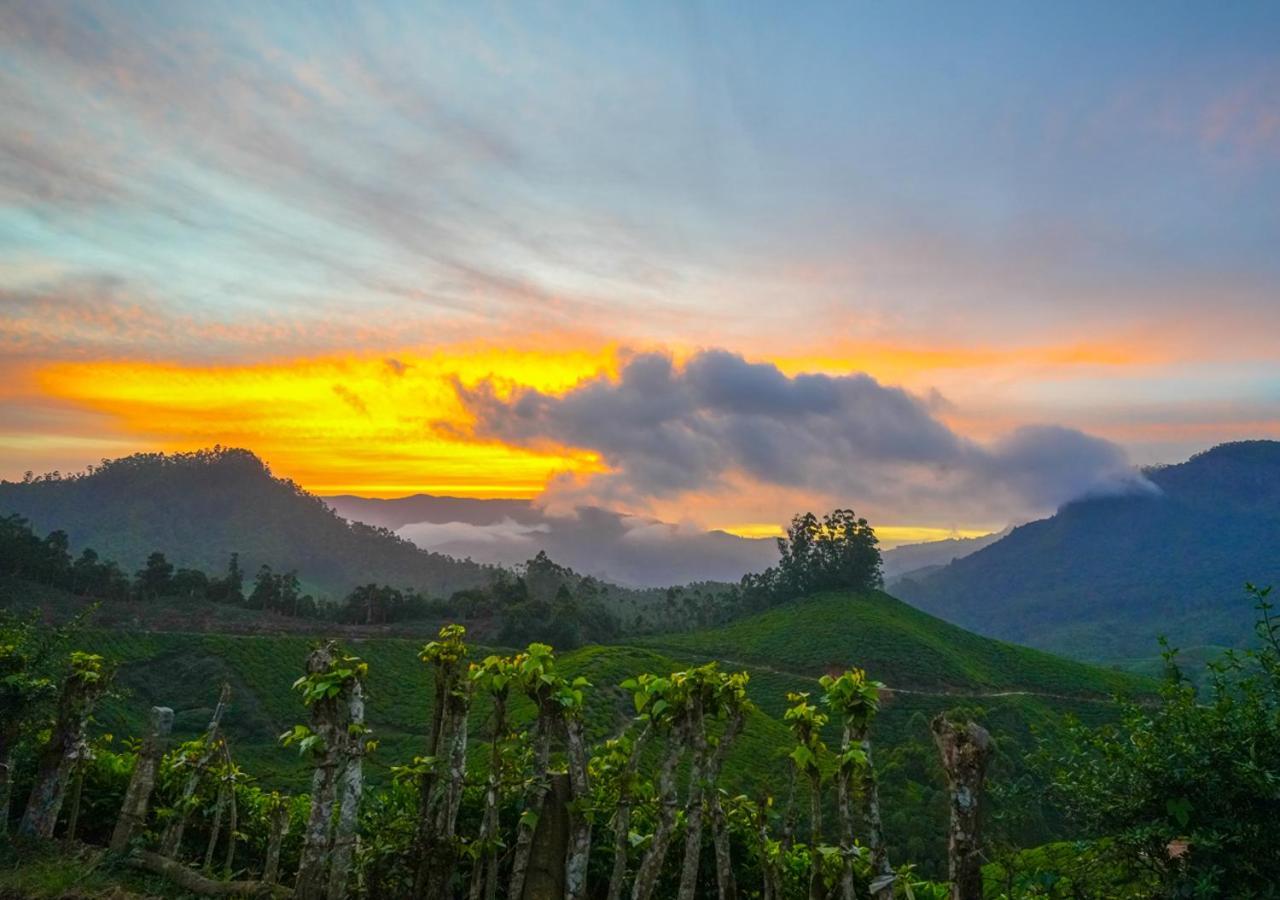 Arivikad Tea Bungalow Munnar By Voye Homes Suryanelli Eksteriør bilde