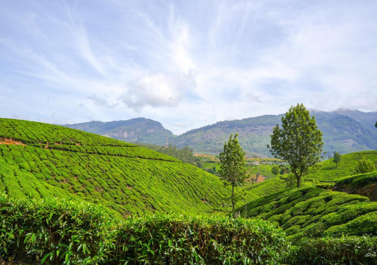 Arivikad Tea Bungalow Munnar By Voye Homes Suryanelli Eksteriør bilde